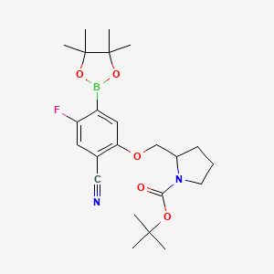 molecular formula C23H32BFN2O5 B7958957 Tert-butyl 2-[2-cyano-4-fluoro-5-(tetramethyl-1,3,2-dioxaborolan-2-YL)phenoxymethyl]pyrrolidine-1-carboxylate 