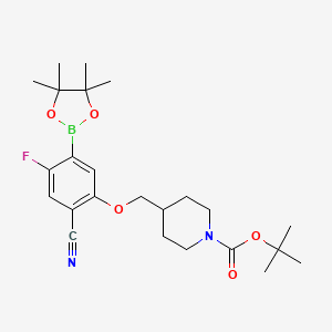 molecular formula C24H34BFN2O5 B7958964 Tert-butyl 4-[2-cyano-4-fluoro-5-(tetramethyl-1,3,2-dioxaborolan-2-YL)phenoxymethyl]piperidine-1-carboxylate 