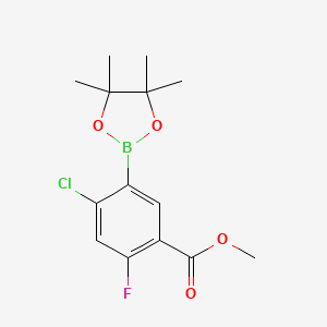 molecular formula C14H17BClFO4 B7958977 Methyl 4-chloro-2-fluoro-5-(4,4,5,5-tetramethyl-1,3,2-dioxaborolan-2-yl)benzoate 
