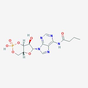 molecular formula C14H18N5O7P B079592 单丁酰环磷酸腺苷 CAS No. 13117-60-7