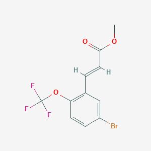 molecular formula C11H8BrF3O3 B7959626 Methyl (2E)-3-[5-bromo-2-(trifluoromethoxy)phenyl]prop-2-enoate 
