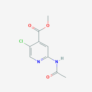 molecular formula C9H9ClN2O3 B7960361 Methyl 5-chloro-2-acetamidopyridine-4-carboxylate 