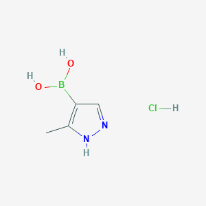 molecular formula C4H8BClN2O2 B7961071 (5-Methyl-1H-pyrazol-4-yl)boronic acid hydrochloride 