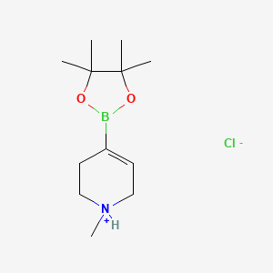 molecular formula C12H23BClNO2 B7963271 1-Methyl-4-(4,4,5,5-tetramethyl-1,3,2-dioxaborolan-2-yl)-1,2,3,6-tetrahydropyridinium chloride 