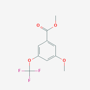 molecular formula C10H9F3O4 B7963686 3-Methoxy-5-(trifluoromethoxy)benzoic acid methyl ester 