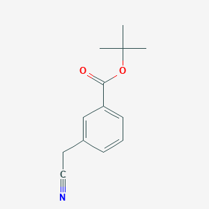 molecular formula C13H15NO2 B7965050 Tert-butyl 3-(cyanomethyl)benzoate 