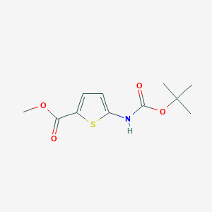 molecular formula C11H15NO4S B7965531 5-[(叔丁氧羰基)氨基]噻吩-2-羧酸甲酯 