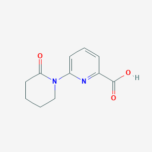 molecular formula C11H12N2O3 B7966755 6-(2-Oxopiperidin-1-yl)pyridine-2-carboxylic acid 