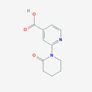 molecular formula C11H12N2O3 B7966759 2-(2-Oxopiperidin-1-yl)pyridine-4-carboxylic acid 