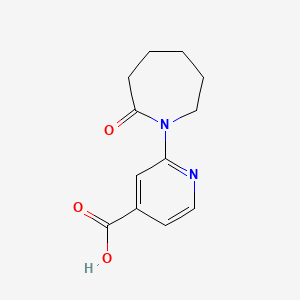 molecular formula C12H14N2O3 B7966770 2-(2-Oxoazepan-1-yl)pyridine-4-carboxylic acid 