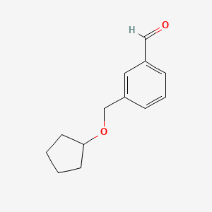 molecular formula C13H16O2 B7967992 3-[(Cyclopentyloxy)methyl]benzaldehyde 