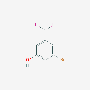 molecular formula C7H5BrF2O B7968484 3-Bromo-5-(difluoromethyl)phenol 