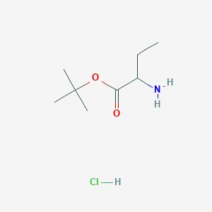 Tert-butyl 2-aminobutanoate hydrochloride