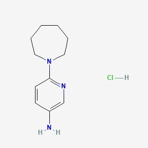 molecular formula C11H18ClN3 B7970214 6-Azepan-1-ylpyridin-3-amine hydrochloride 