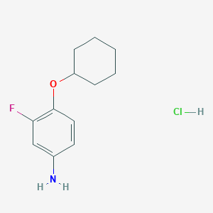 molecular formula C12H17ClFNO B7970297 [4-(Cyclohexyloxy)-3-fluorophenyl]amine hydrochloride 