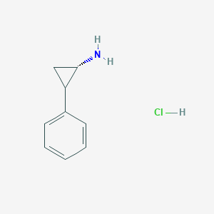 molecular formula C9H12ClN B7970778 (+)-苯环丙胺盐酸盐 