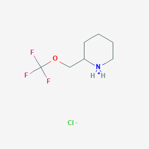 molecular formula C7H13ClF3NO B7971137 2-(Trifluoromethoxymethyl)piperidin-1-ium;chloride 