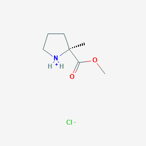 molecular formula C7H14ClNO2 B7971384 methyl (2S)-2-methylpyrrolidin-1-ium-2-carboxylate;chloride 