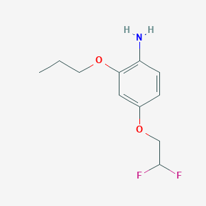 molecular formula C11H15F2NO2 B7973062 4-(2,2-Difluoroethoxy)-2-propoxyaniline 