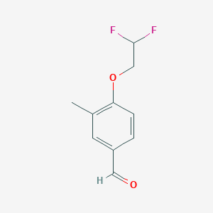 molecular formula C10H10F2O2 B7973094 4-(2,2-Difluoroethoxy)-3-methylbenzaldehyde 