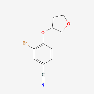molecular formula C11H10BrNO2 B7973677 3-Bromo-4-(oxolan-3-yloxy)benzonitrile 