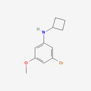 molecular formula C11H14BrNO B7973792 3-bromo-N-cyclobutyl-5-methoxyaniline 
