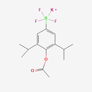 molecular formula C14H19BF3KO2 B7973826 Potassium [4-(acetyloxy)-3,5-bis(propan-2-yl)phenyl]trifluoroboranuide 