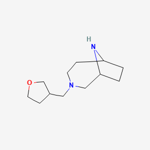 molecular formula C12H22N2O B7973862 3-((Tetrahydrofuran-3-yl)methyl)-3,9-diazabicyclo[4.2.1]nonane 