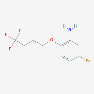 molecular formula C10H11BrF3NO B7974051 5-Bromo-2-(4,4,4-trifluorobutoxy)aniline 