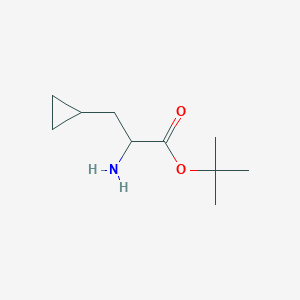 molecular formula C10H19NO2 B7974118 tert-Butyl 2-amino-3-cyclopropylpropanoate 