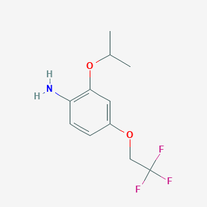 molecular formula C11H14F3NO2 B7974465 2-Isopropoxy-4-(2,2,2-trifluoroethoxy)aniline 