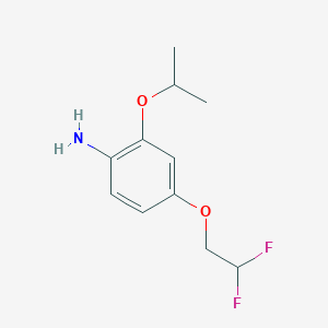 molecular formula C11H15F2NO2 B7974479 4-(2,2-Difluoroethoxy)-2-isopropoxyaniline 