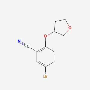 molecular formula C11H10BrNO2 B7974599 5-Bromo-2-((tetrahydrofuran-3-yl)oxy)benzonitrile 
