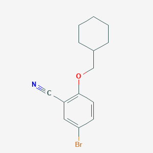 molecular formula C14H16BrNO B7974607 5-Bromo-2-(cyclohexylmethoxy)benzonitrile 