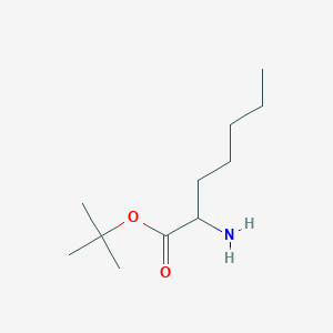 molecular formula C11H23NO2 B7974652 Tert-butyl 2-aminoheptanoate 