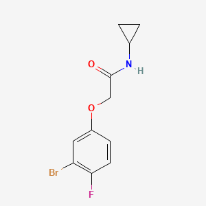 2-(3-Bromo-4-fluorophenoxy)-N-cyclopropylacetamide