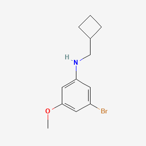 molecular formula C12H16BrNO B7975261 3-Bromo-N-(cyclobutylmethyl)-5-methoxyaniline 