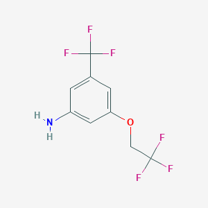 molecular formula C9H7F6NO B7975306 3-(2,2,2-Trifluoroethoxy)-5-(trifluoromethyl)aniline 