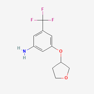 molecular formula C11H12F3NO2 B7975328 3-(Oxolan-3-yloxy)-5-(trifluoromethyl)aniline 