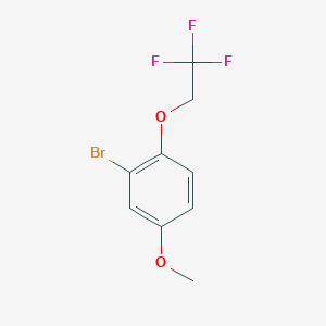 molecular formula C9H8BrF3O2 B7975627 2-Bromo-4-methoxy-1-(2,2,2-trifluoroethoxy)benzene 