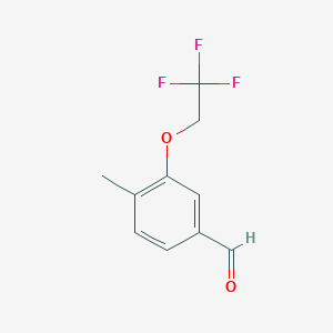 molecular formula C10H9F3O2 B7975783 4-Methyl-3-(2,2,2-trifluoroethoxy)benzaldehyde 