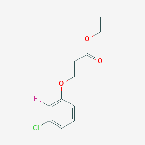 molecular formula C11H12ClFO3 B7976013 Ethyl 3-(3-chloro-2-fluoro-phenoxy)propanoate 