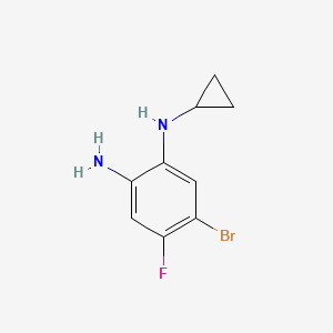 molecular formula C9H10BrFN2 B7977149 5-Bromo-N1-cyclopropyl-4-fluorobenzene-1,2-diamine 