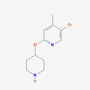 molecular formula C11H15BrN2O B7977859 5-Bromo-4-methyl-2-(piperidin-4-yloxy)pyridine 