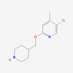 molecular formula C12H17BrN2O B7977861 5-Bromo-4-methyl-2-[(piperidin-4-yl)methoxy]pyridine 