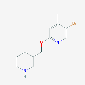 molecular formula C12H17BrN2O B7977868 5-Bromo-4-methyl-2-[(piperidin-3-yl)methoxy]pyridine 