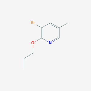 molecular formula C9H12BrNO B7978342 3-Bromo-5-methyl-2-propoxypyridine 