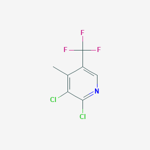 molecular formula C7H4Cl2F3N B7981122 2,3-Dichloro-4-methyl-5-(trifluoromethyl)pyridine 