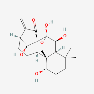 molecular formula C20H28O6 B7981395 (1R,2R,5S,8S,9S,10S,11S,15S,18R)-9,10,15,18-tetrahydroxy-12,12-dimethyl-6-methylidene-17-oxapentacyclo[7.6.2.15,8.01,11.02,8]octadecan-7-one 