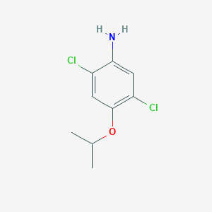molecular formula C9H11Cl2NO B7981631 2,5-Dichloro-4-isopropoxyaniline 